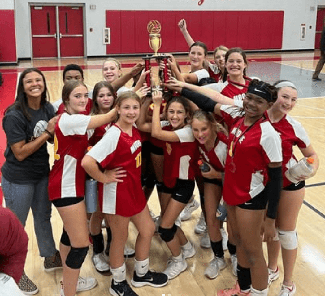 Volleyball Banner